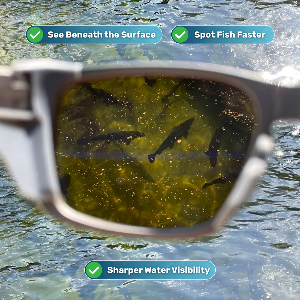 Castfolk Fishing Glasses